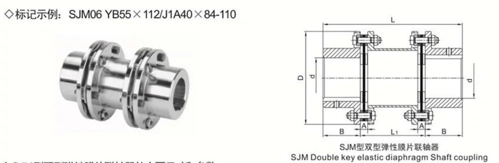 Diaphragm Coupling